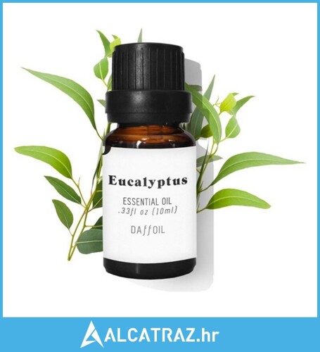 Esencijalno ulje Daffoil Eukaliptus (10 ml) - NOVO