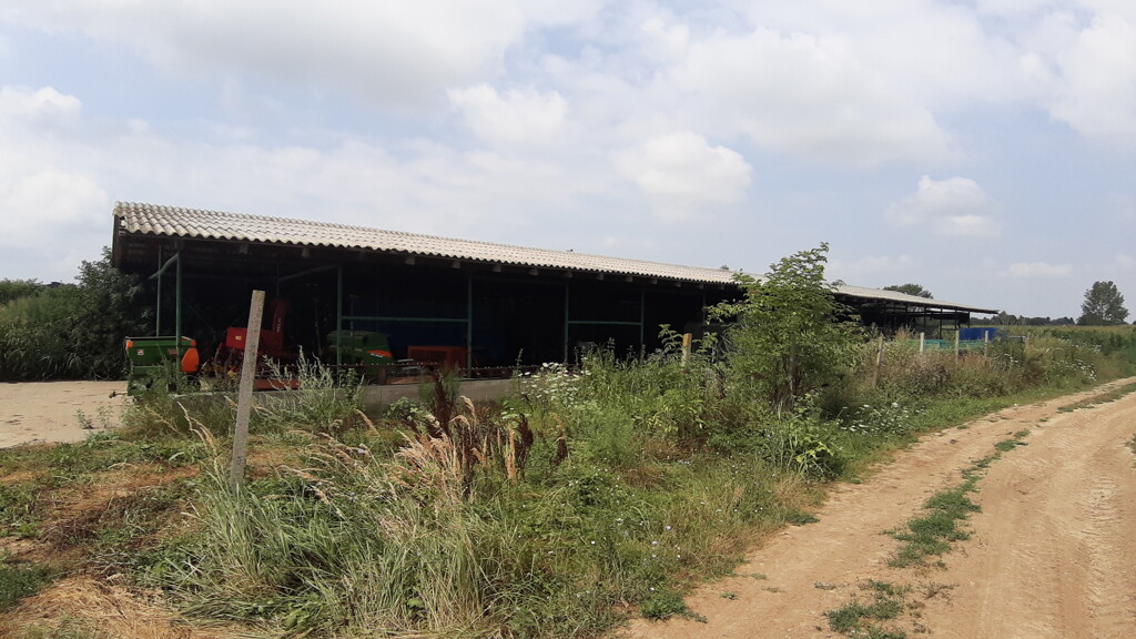 Image 5074786 - 16