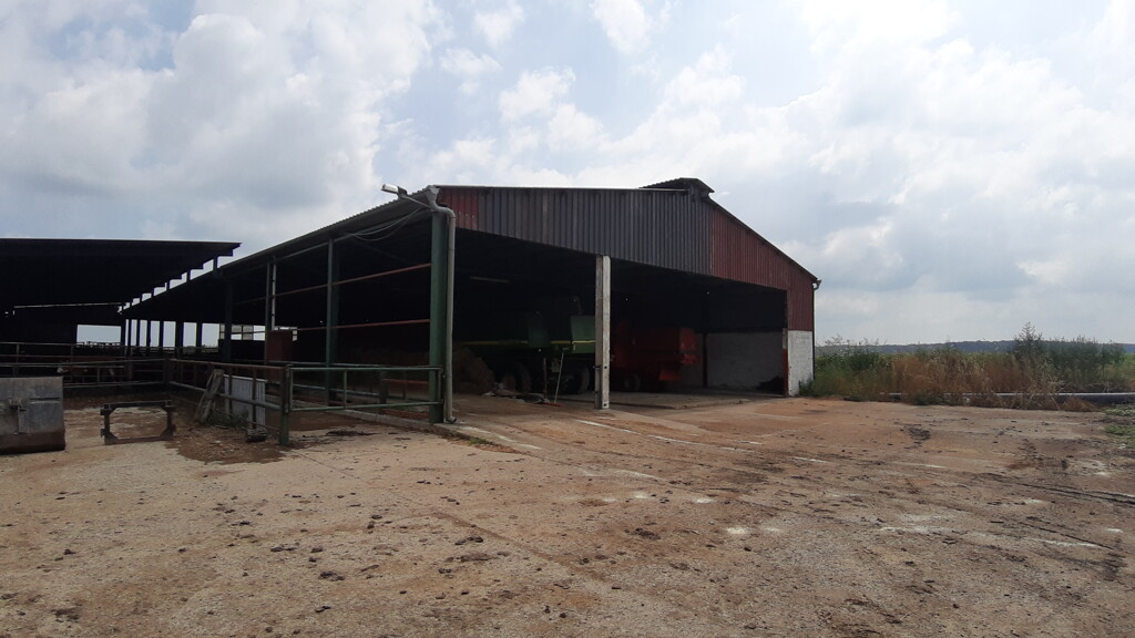 Image 5074786 - 8