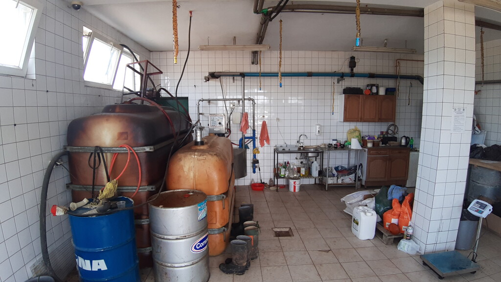 Image 5074786 - 12