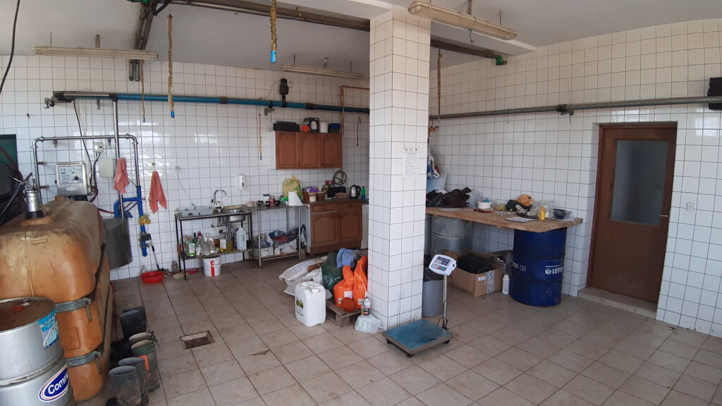 Image 5074786 - 6