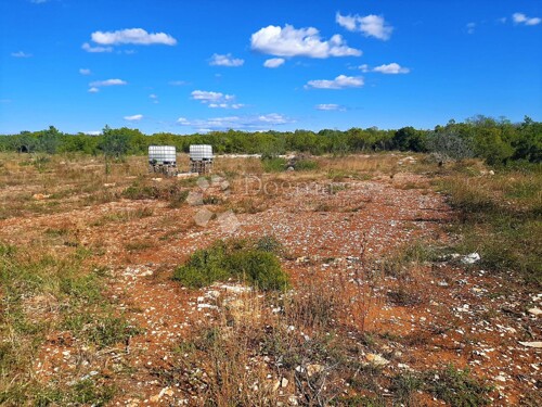 Thumbnail 5076777 - 7