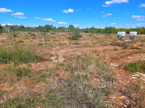 Thumbnail 5076777 - 1