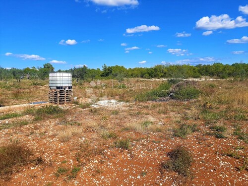 Thumbnail 5076777 - 3