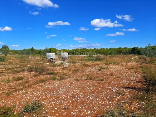 Thumbnail 5076777 - 5