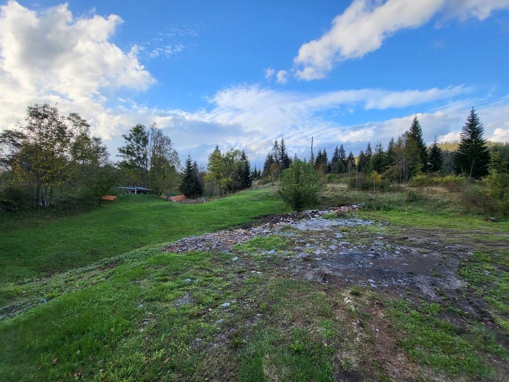Image 5078034 - 16