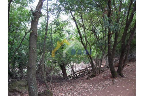 Thumbnail 5094585 - 1