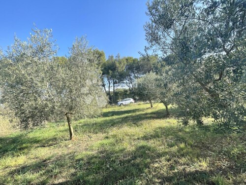 Thumbnail 5100522 - 4