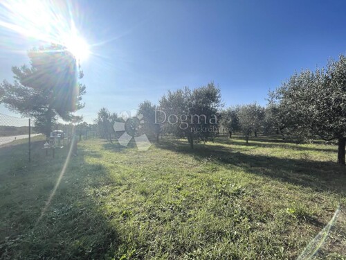 Thumbnail 5100522 - 5