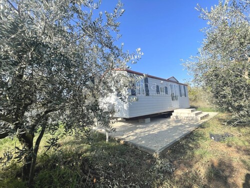 Thumbnail 5100522 - 1