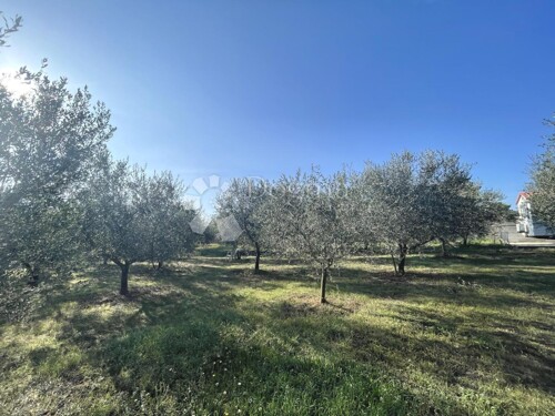 Thumbnail 5100522 - 3