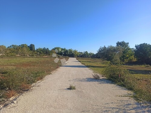 Thumbnail 5108713 - 4