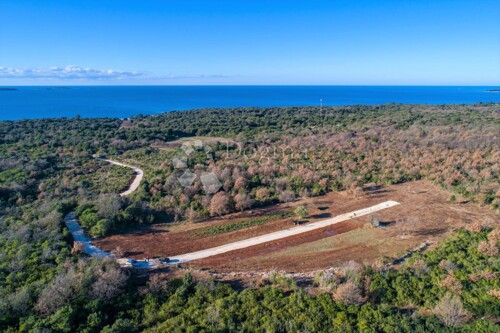 Thumbnail 5108713 - 2