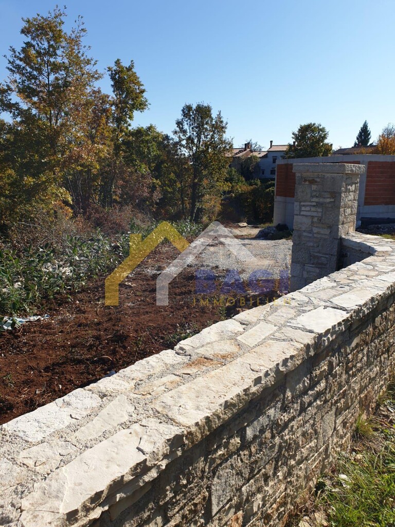Image 5108767 - 12