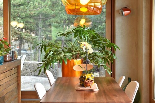 Thumbnail 5109206 - 16