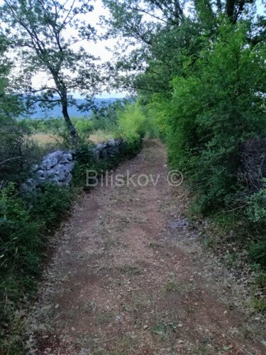 Thumbnail 5109350 - 3