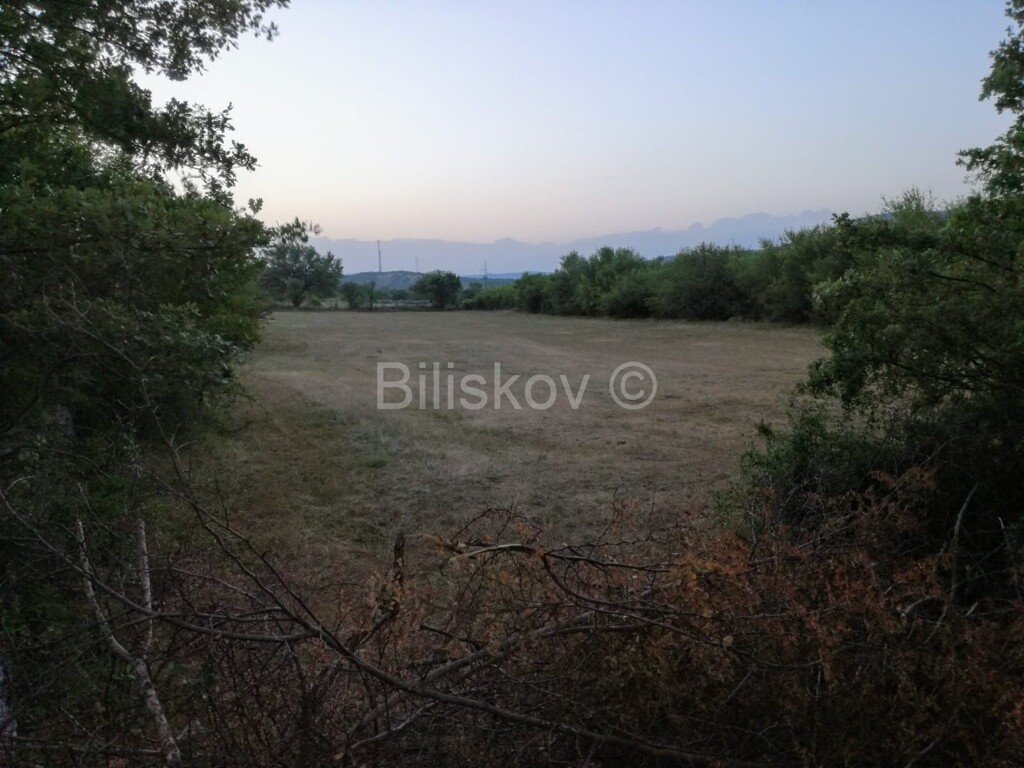 Image 5109350 - 2