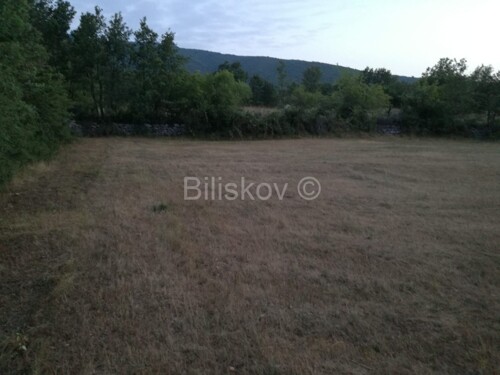 Thumbnail 5109350 - 1