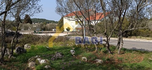 Thumbnail 5116445 - 3