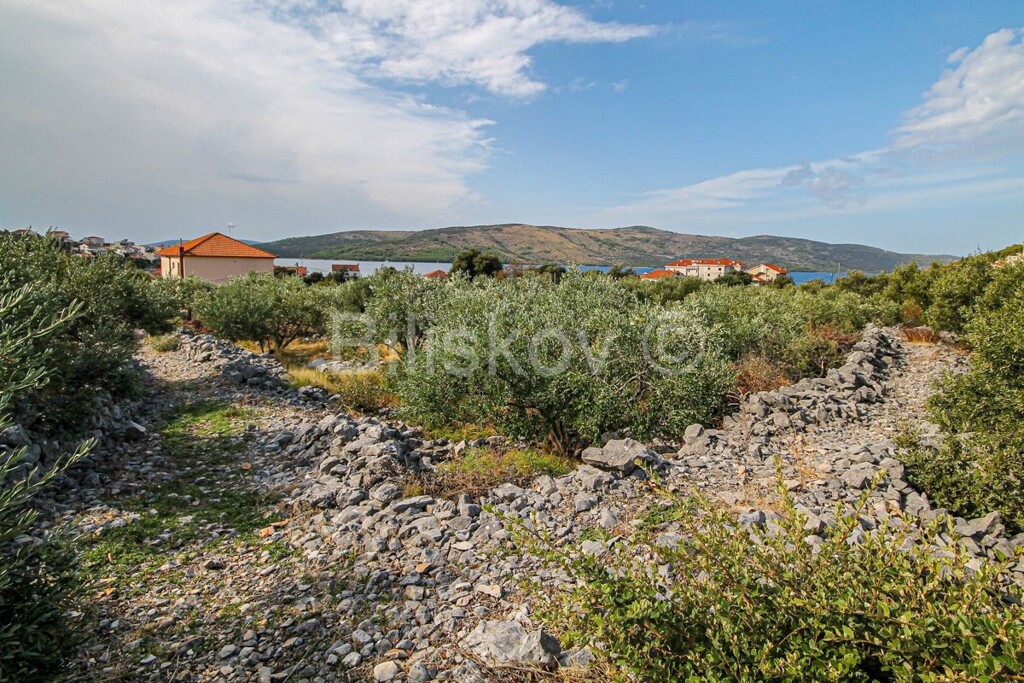Image 5120295 - 6