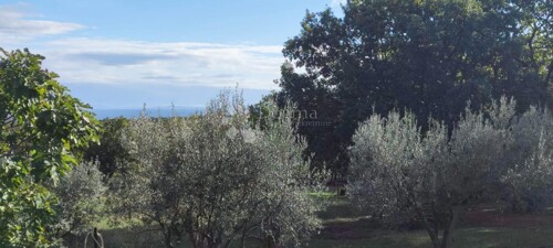 Thumbnail 5121195 - 2