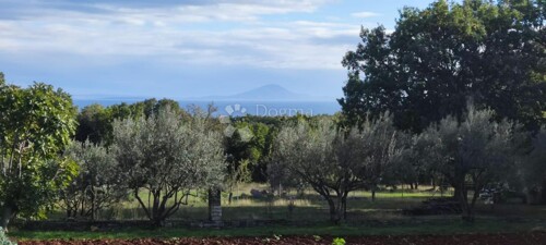 Thumbnail 5121195 - 1