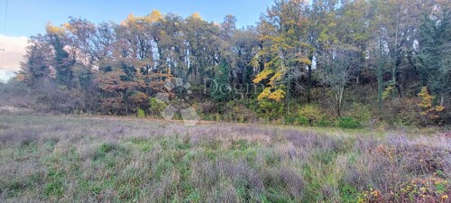 Thumbnail 5126335 - 4