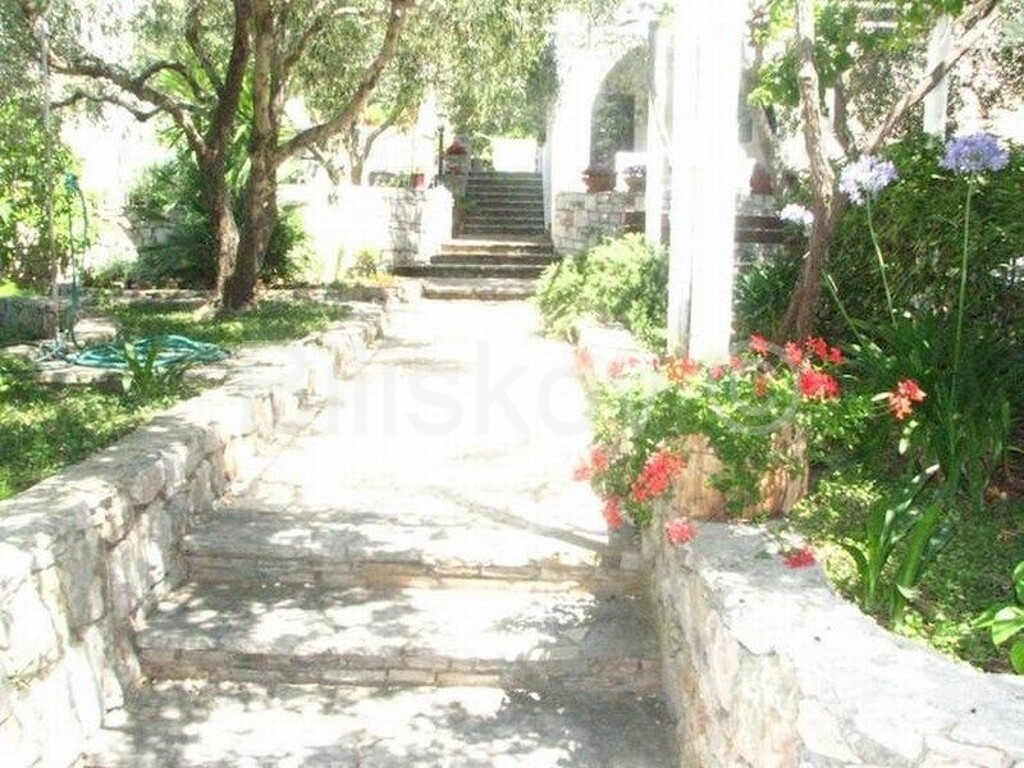 Image 5136425 - 18
