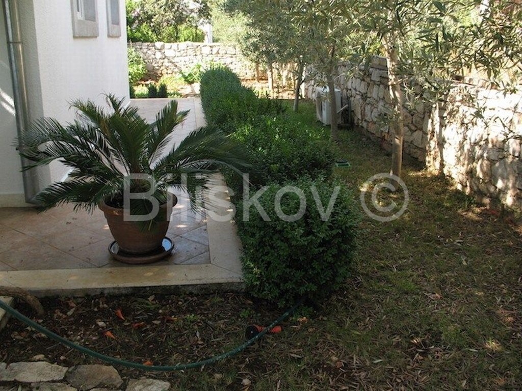 Image 5136425 - 7