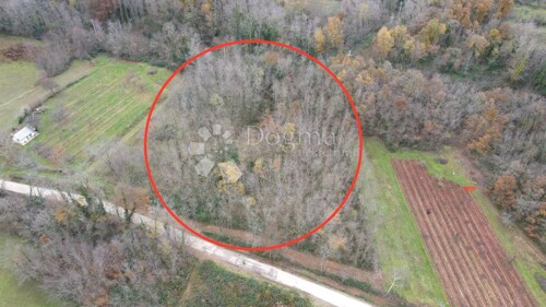 Thumbnail 5137473 - 1