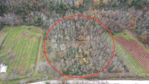 Thumbnail 5137473 - 3