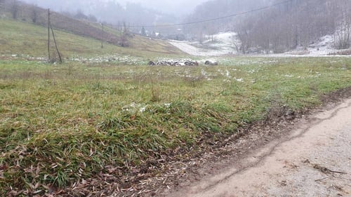 Komor Začretski, zemljište 7168 m2