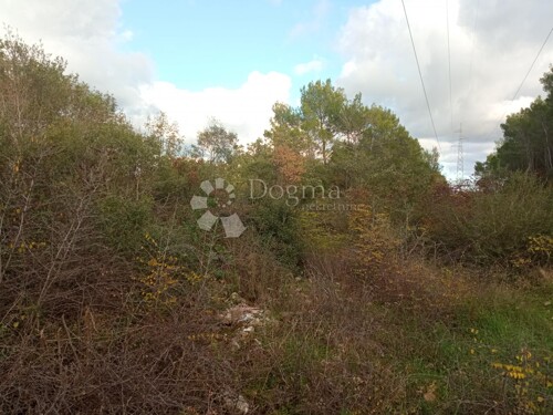 Thumbnail 5138782 - 2