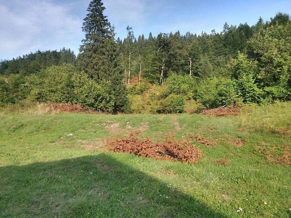 Image 5145886 - 1
