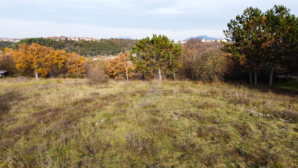 Image 5146661 - 8