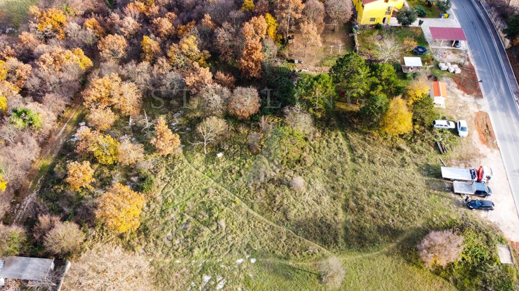 Image 5146661 - 4