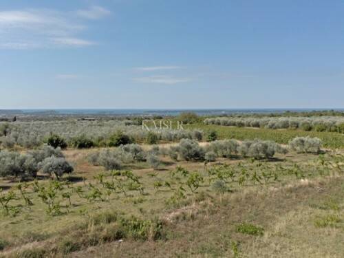 Istra - Vodnjan, luksuzna vila s pogledom na otočje Brijuni