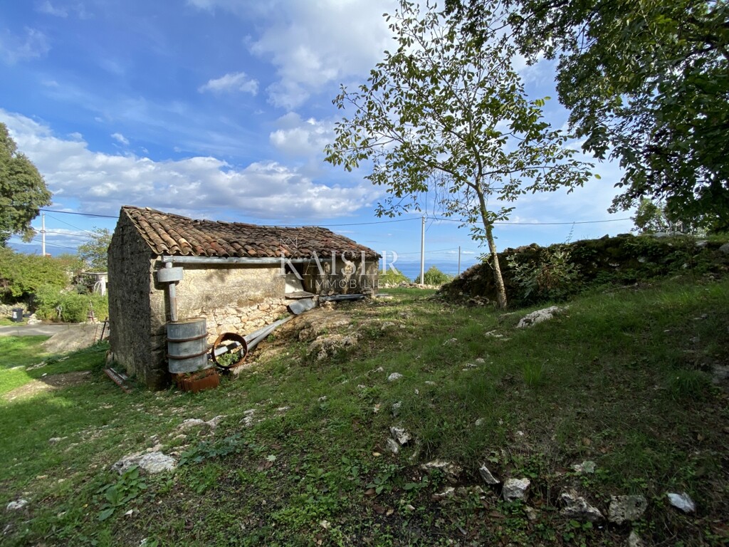 Image 5147988 - 4