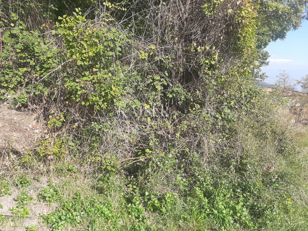 Image 5148031 - 4