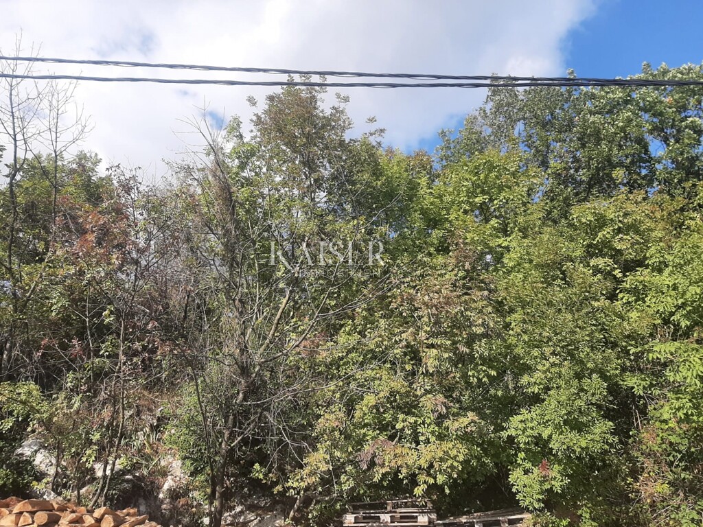Image 5148031 - 5