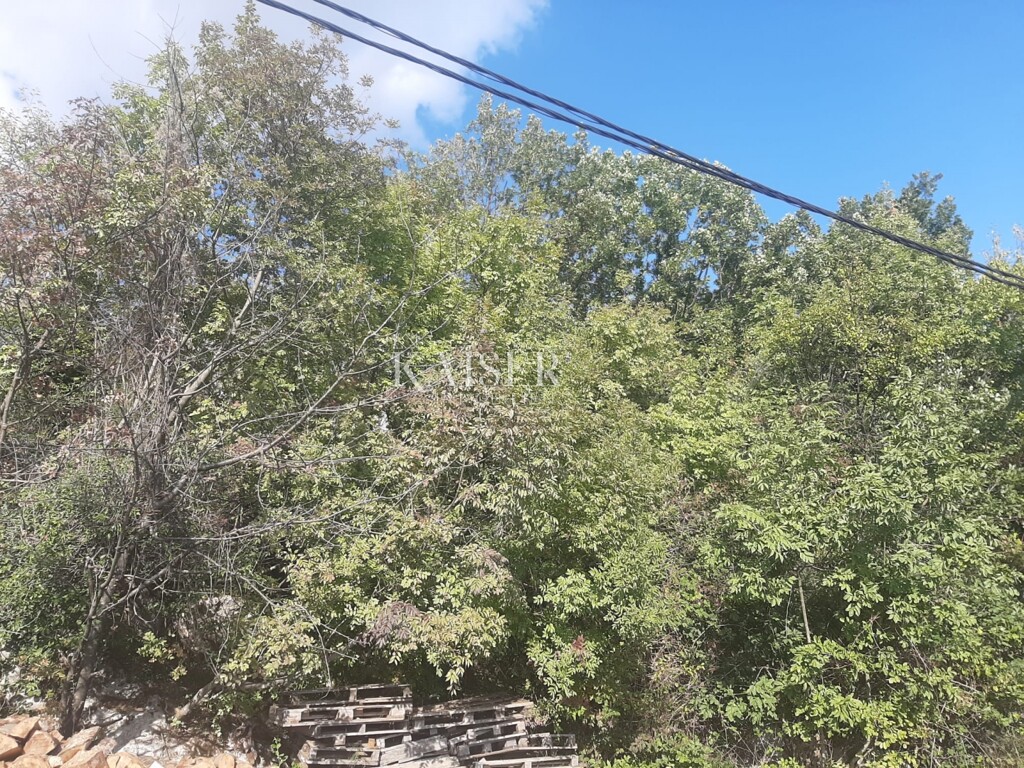 Image 5148031 - 3