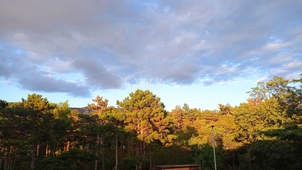 Image 5148034 - 15