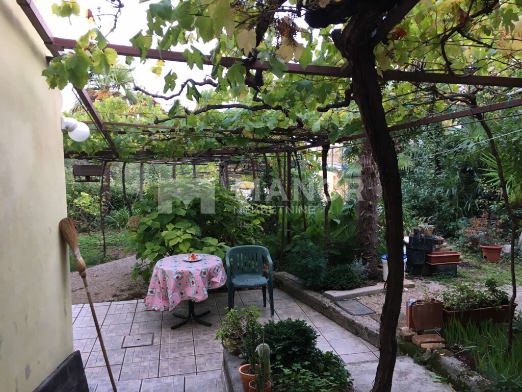 Image 5153633 - 6