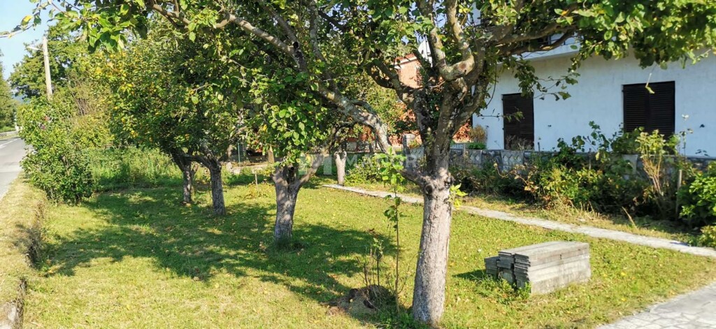 Image 5154336 - 8