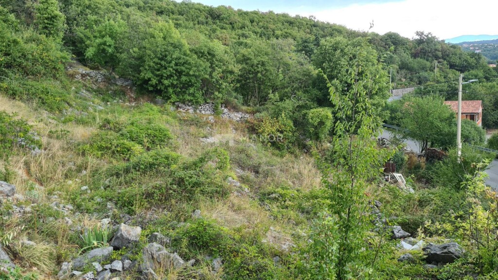 Image 5154468 - 2