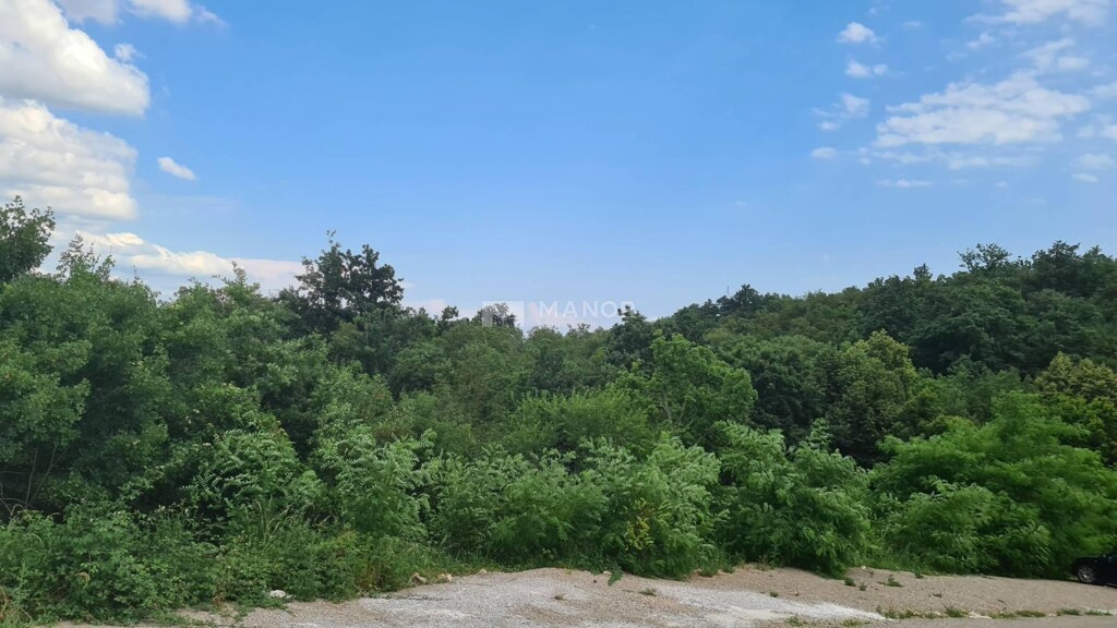 Image 5154519 - 3