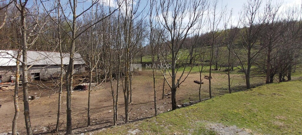 Image 5154535 - 3