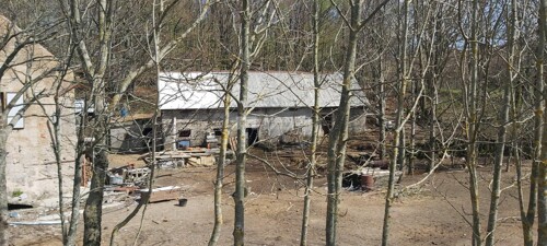 Thumbnail 5154535 - 1