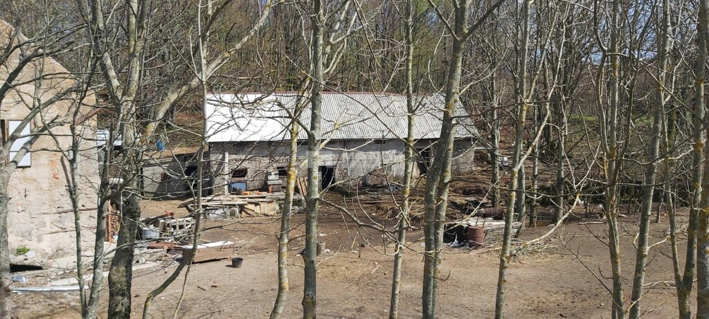 Image 5154535 - 1