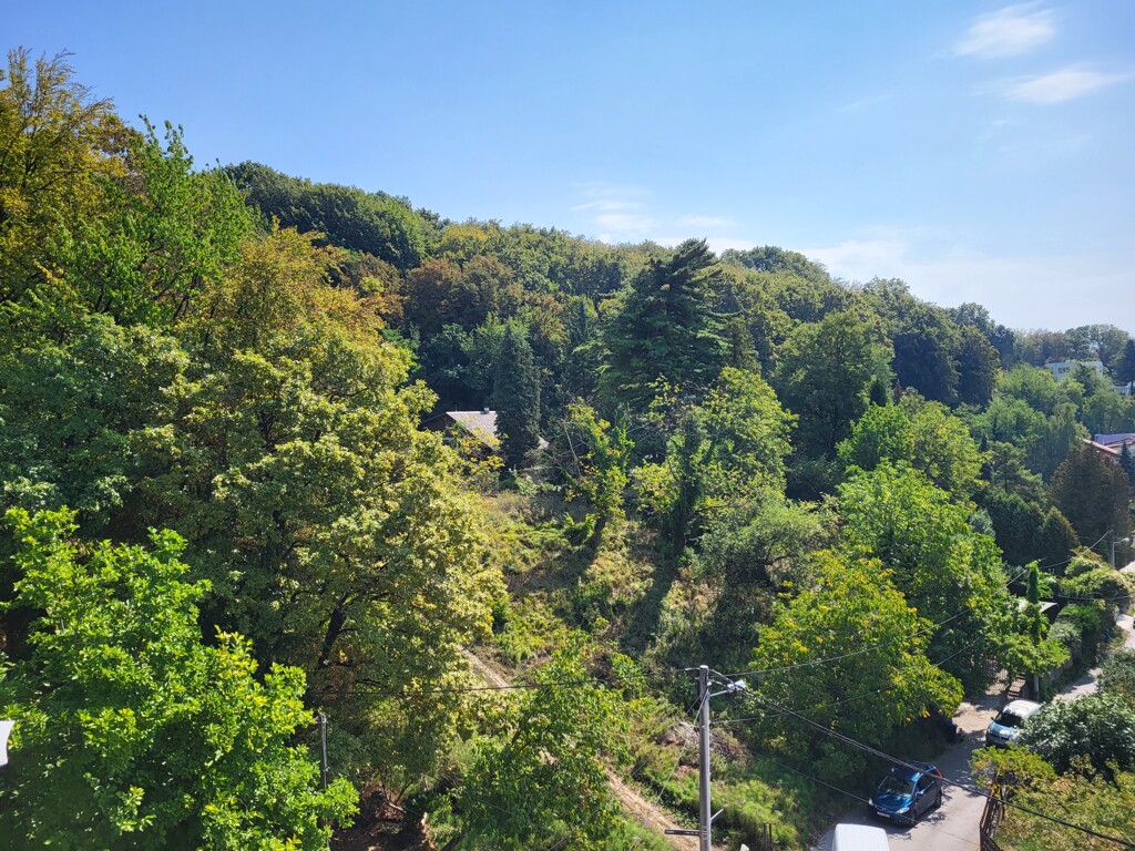 Image 5155722 - 1